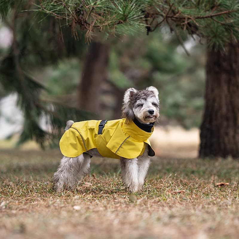 Breathable Dog Adventure Rain Coat