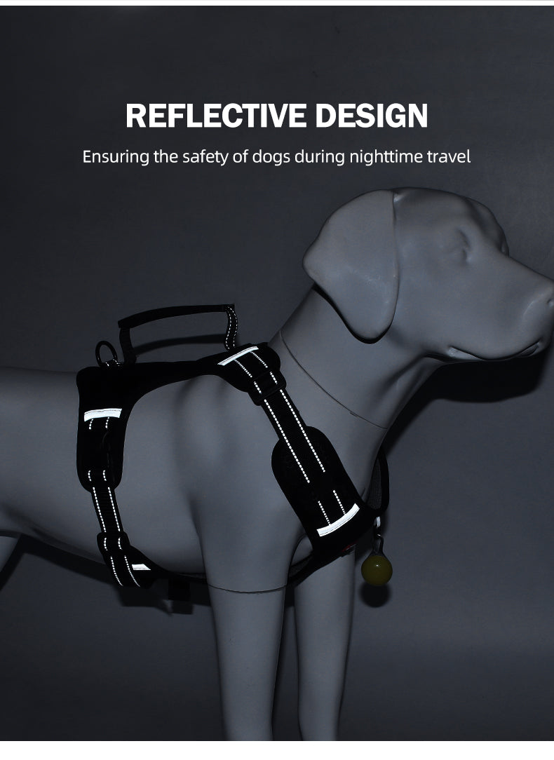 Crest Assist Reflective Dog Harness & Leash Set