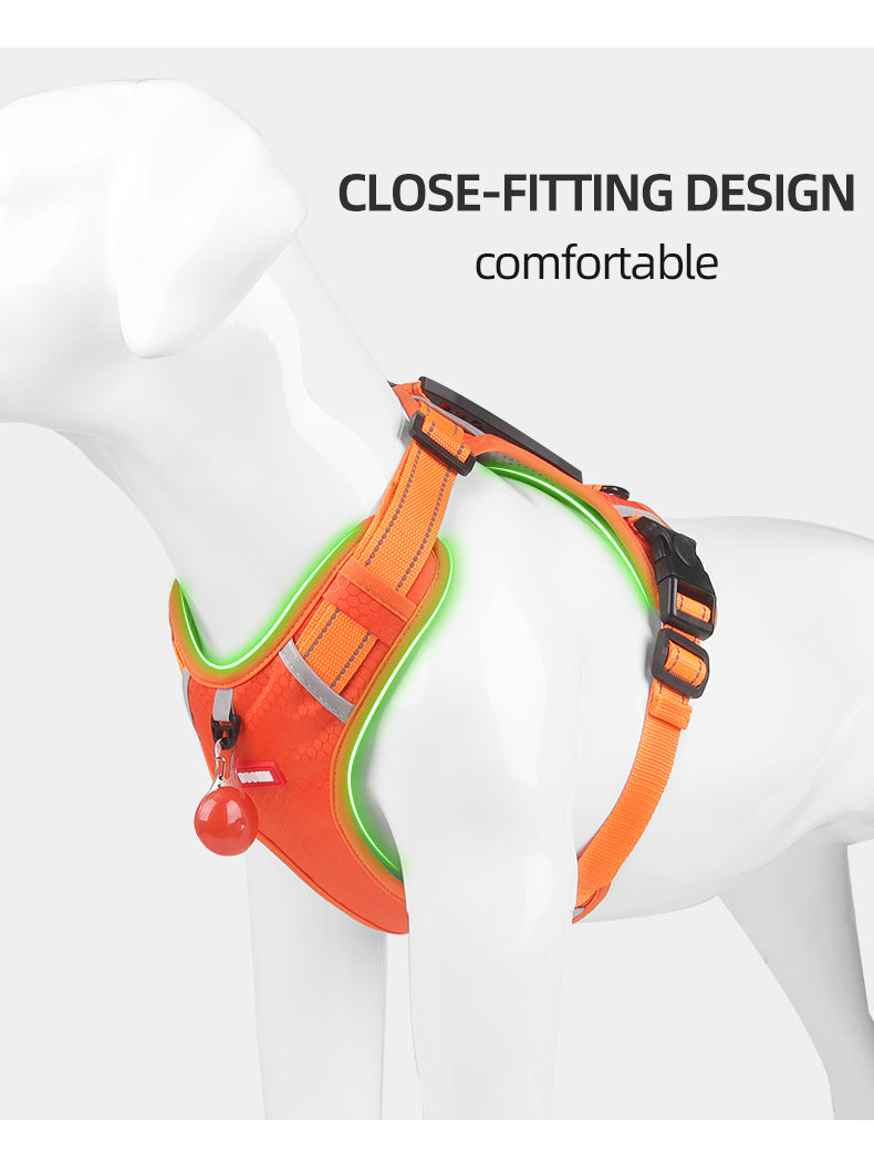 Ridge Guide Reflective Dog Harness and Leash Set