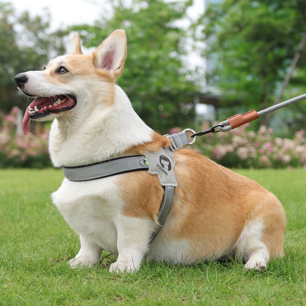 City Halo Reflective Harness & Leash Set