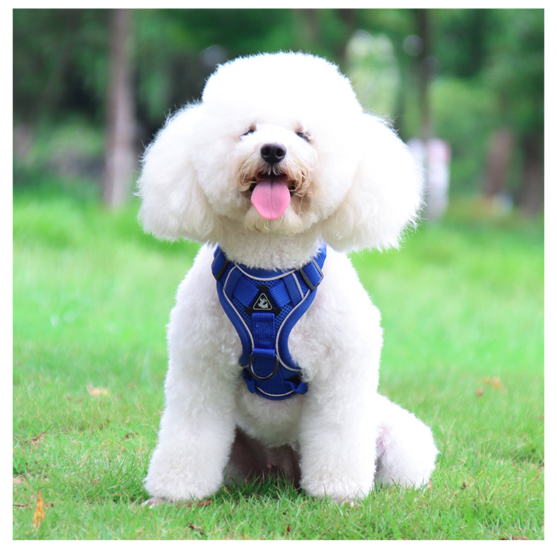 Feather Fit Breathable Pet Harness and Leash Set