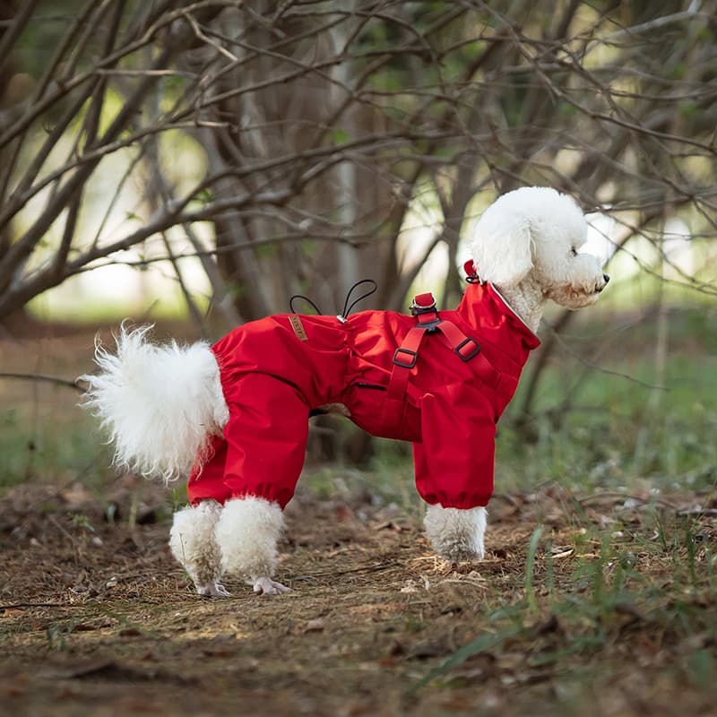 All-Weather Dog Adventure Suit