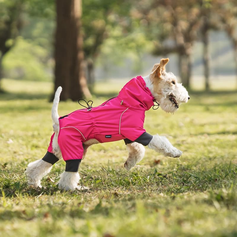 Lightweight Full Coverage Dog Rain Jacket