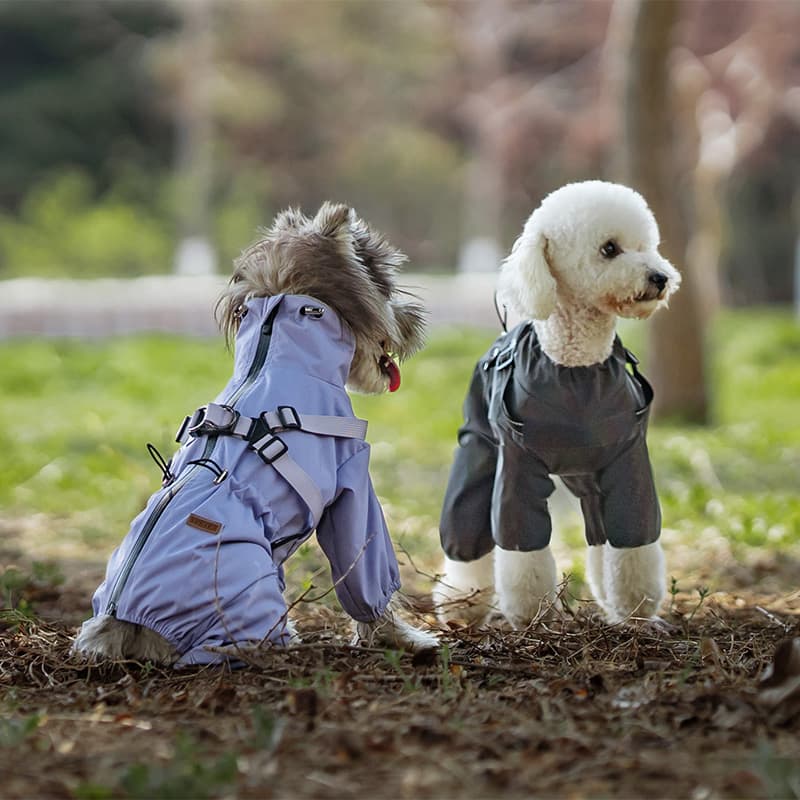 All-Weather Dog Adventure Suit