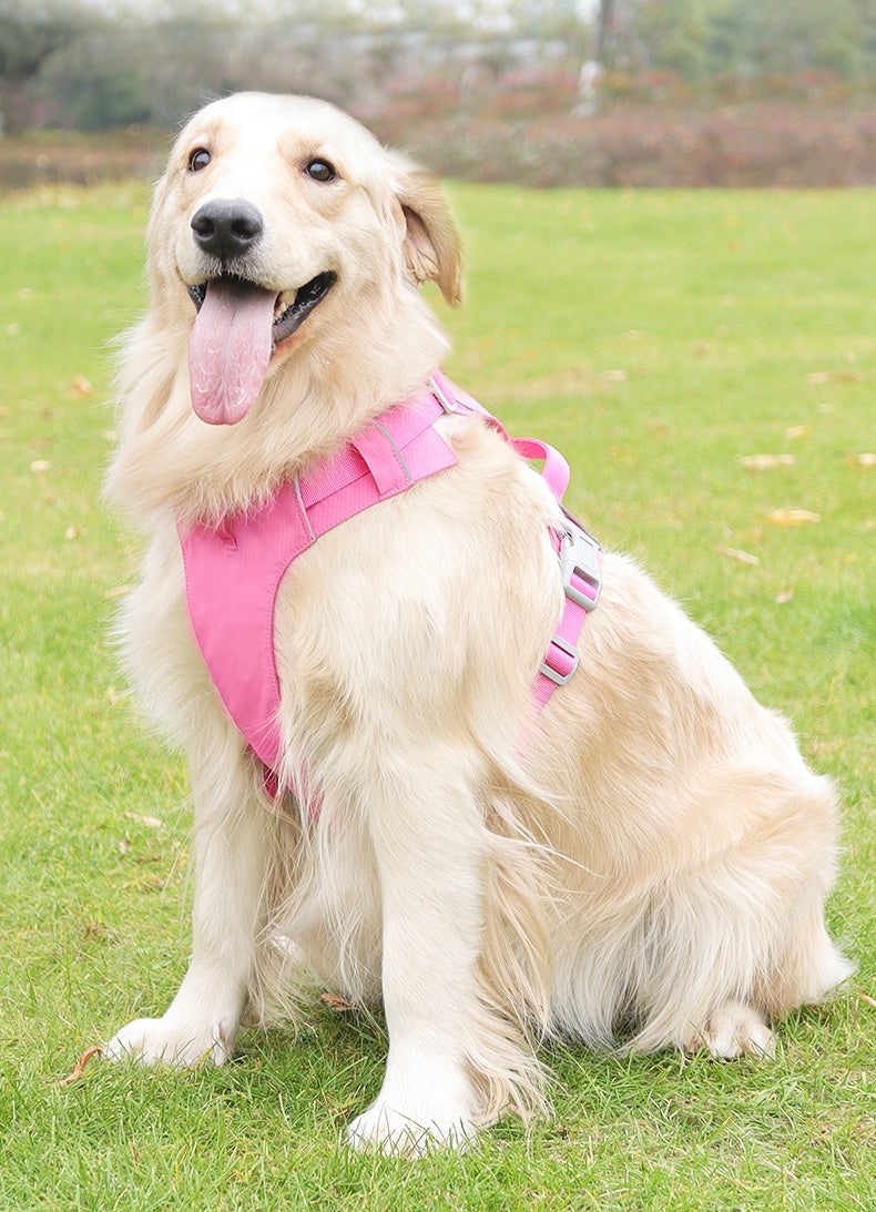 Aero Run Lightweight Reflective Dog Harness