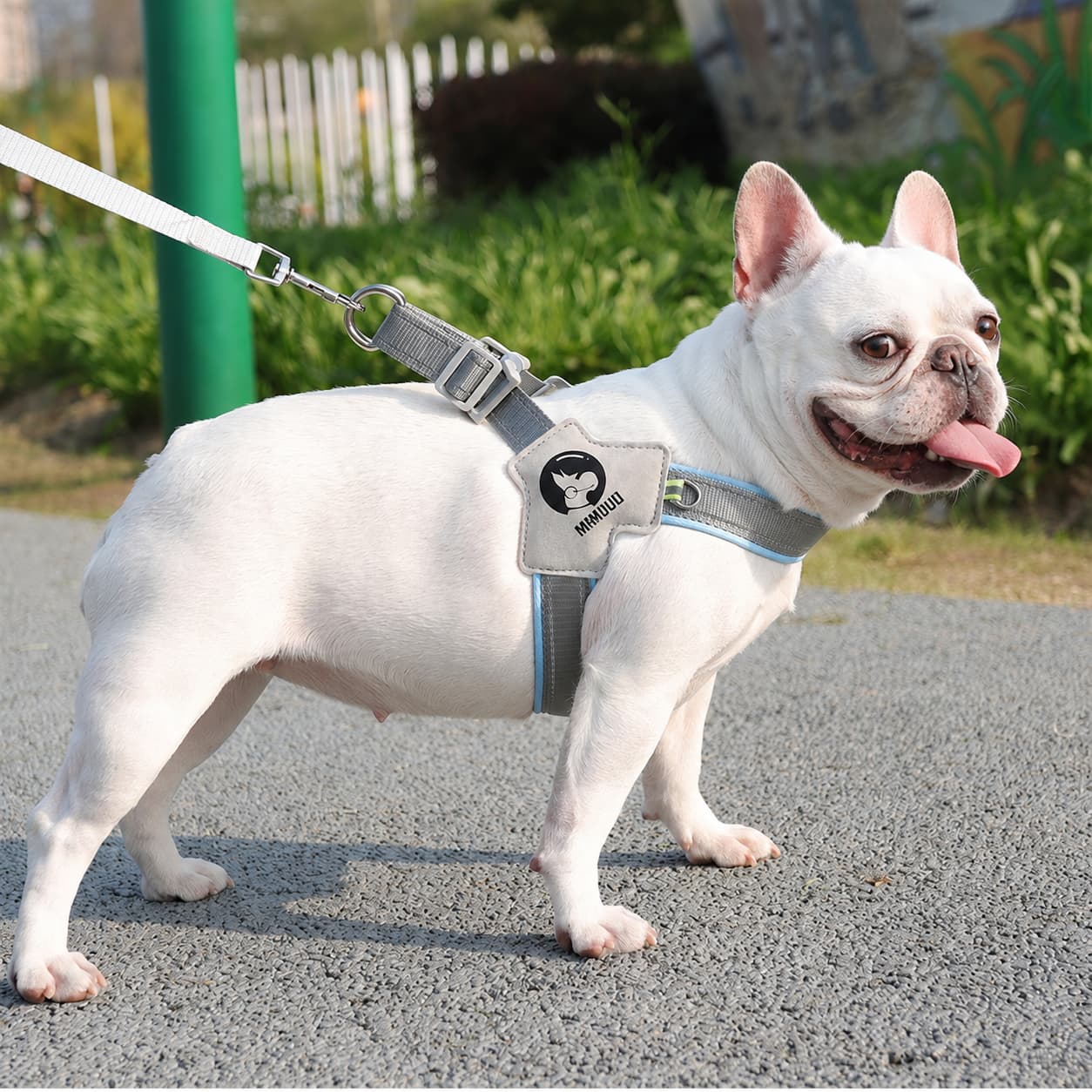 Urban Loop Lightweight Reflective Dog Harness