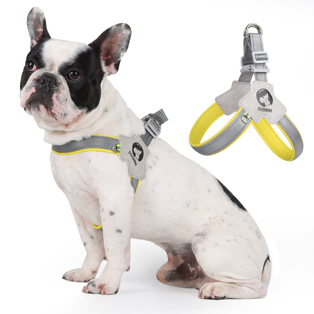 Night Weave LED Dog Harness & Leash Set