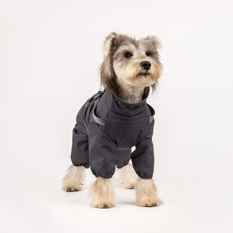 All-Weather Dog Adventure Suit