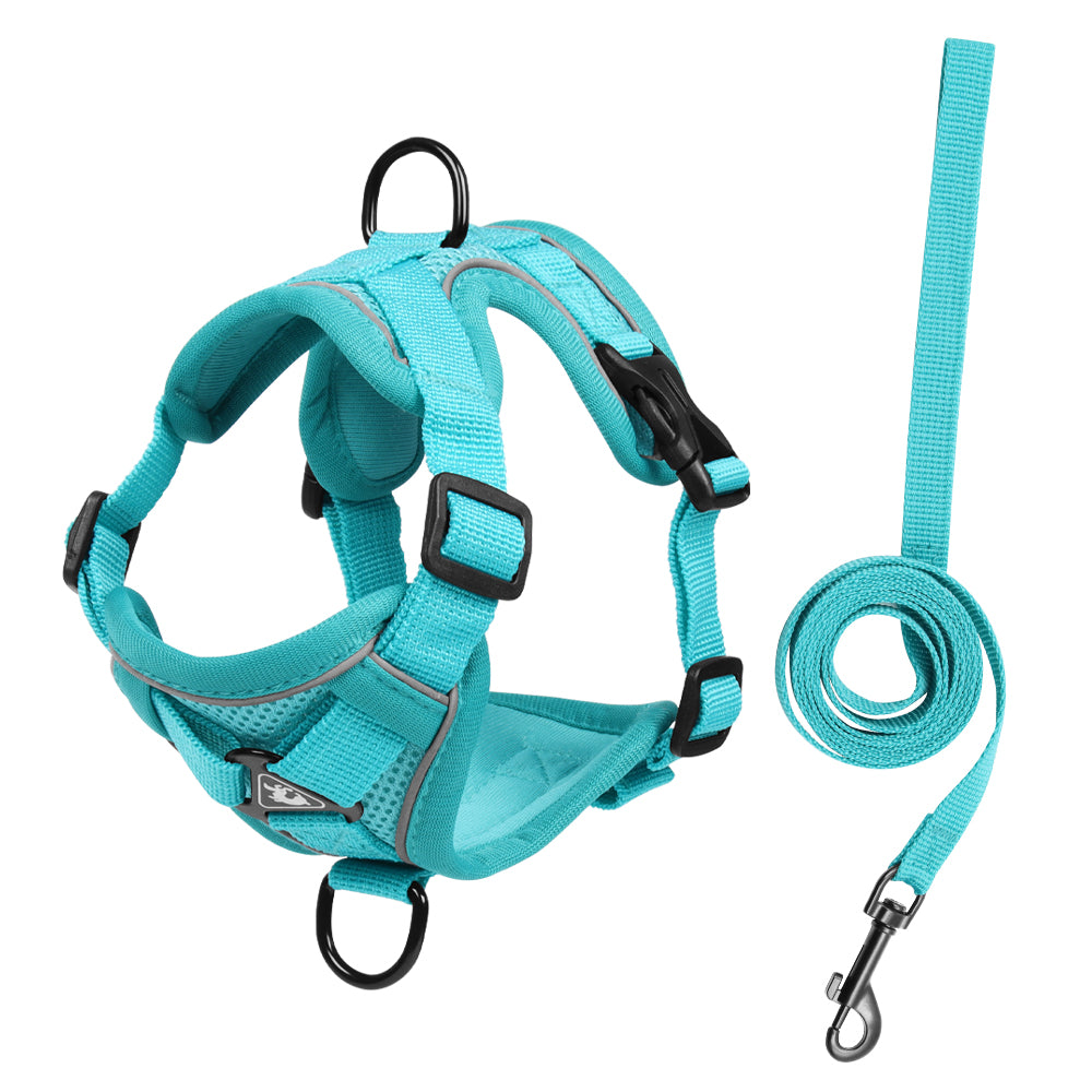 Feather Fit Breathable Pet Harness and Leash Set