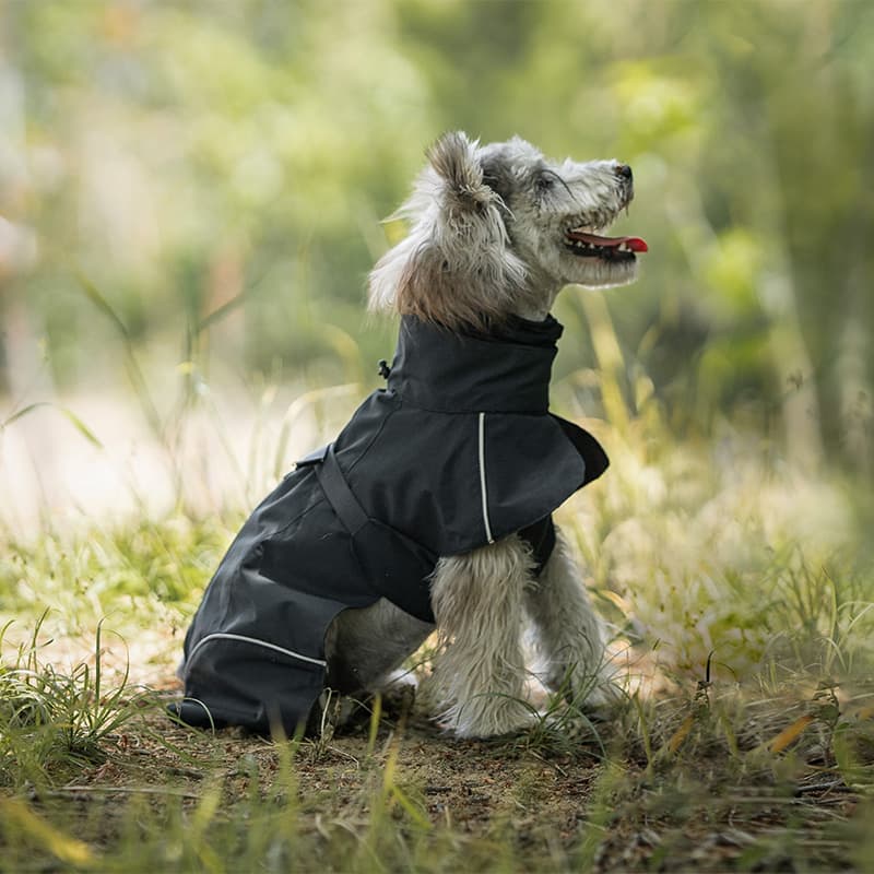 Breathable Dog Adventure Rain Coat