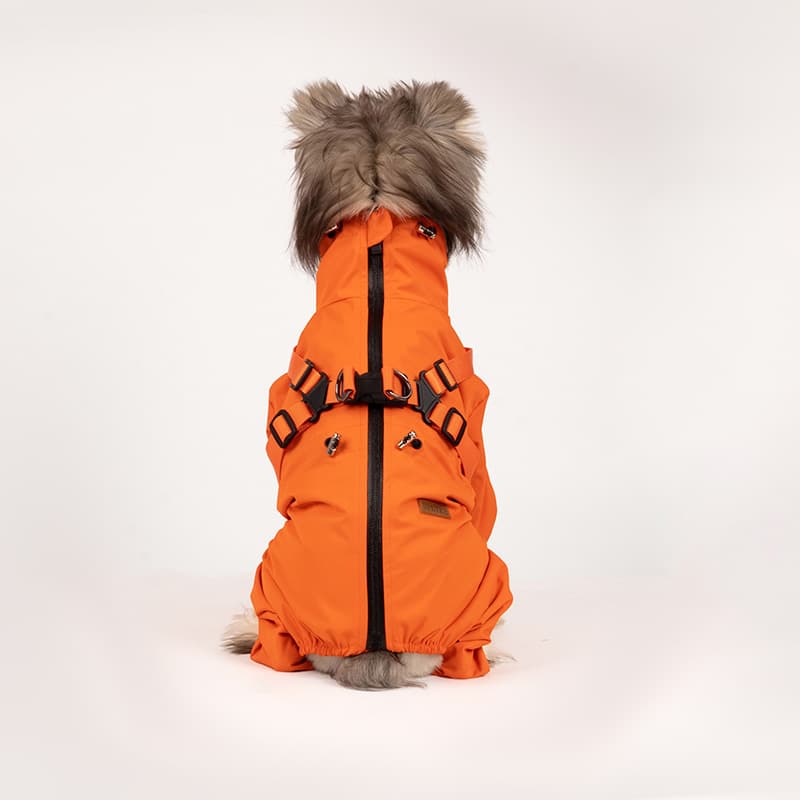 All-Weather Dog Adventure Suit