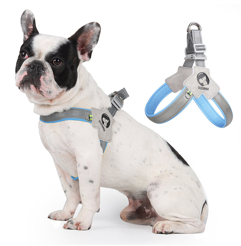 Daybeam Reflective Harness & Leash Set