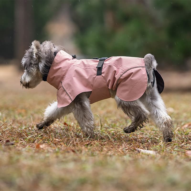 Breathable Dog Adventure Rain Coat