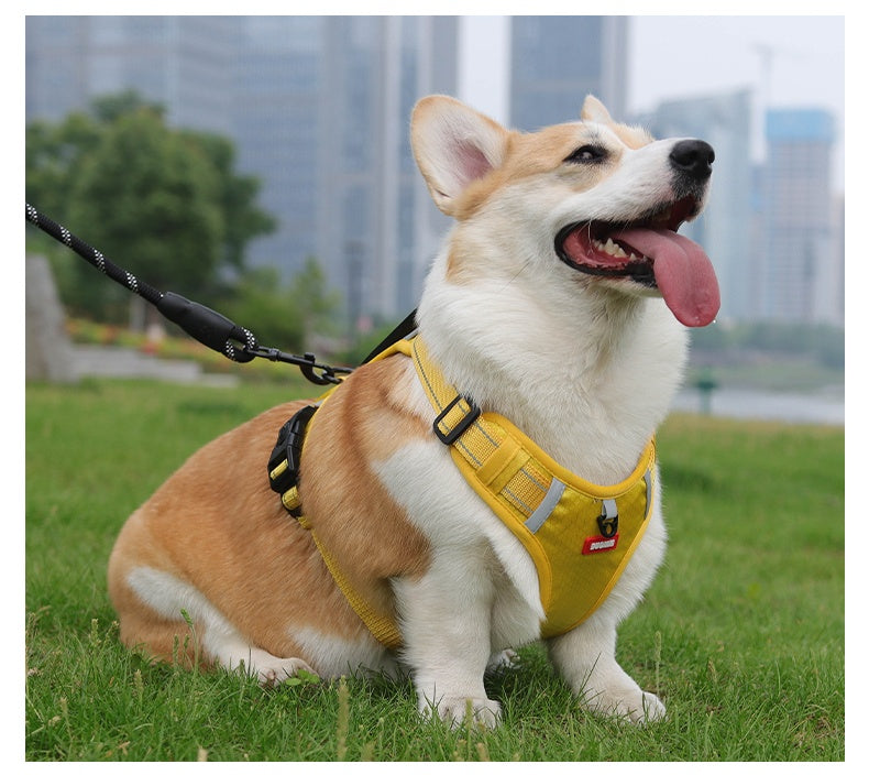 Ridge Guide Reflective Dog Harness and Leash Set