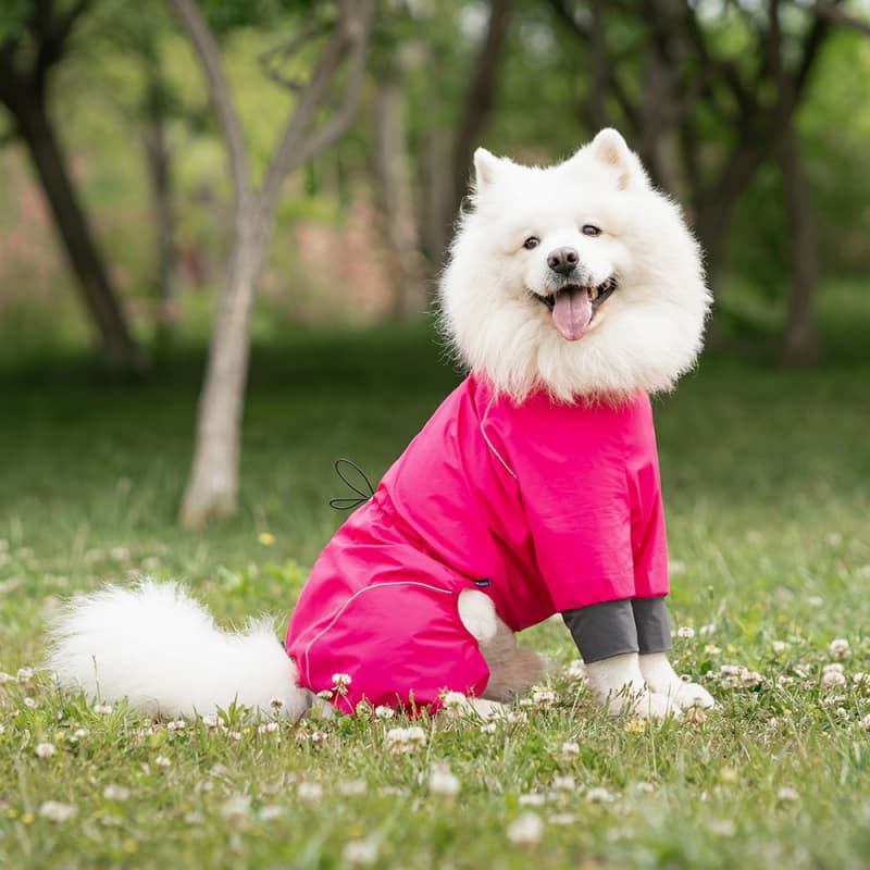 Lightweight Full Coverage Dog Rain Jacket